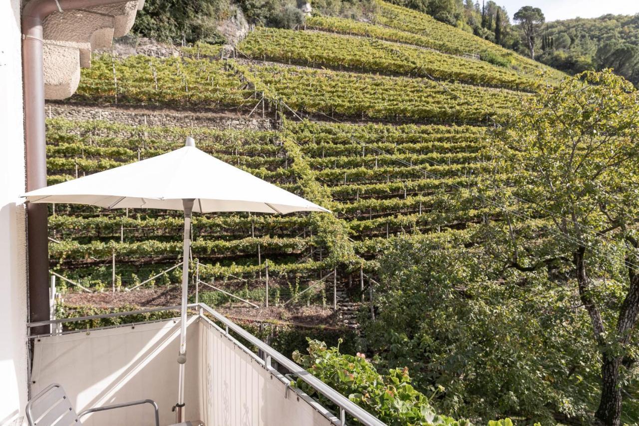 Der Ladurner Hof - Wohnen Am Weinberg Apartment Merano Exterior photo